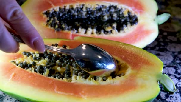Frutas Exóticas Mesa Las Manos Femeninas Preparan Papaya Para Tabla — Vídeos de Stock