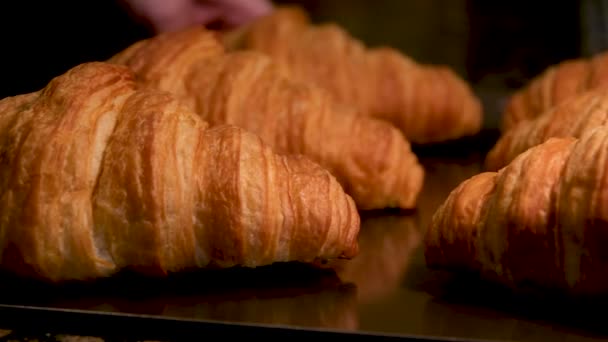 Baker Lleva Crujientes Crujientes Croissants Dorados Recién Horneados Una Bandeja — Vídeos de Stock