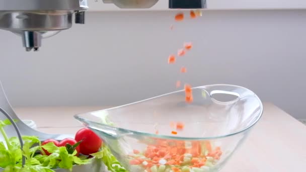 Pique Misture Cenoura Picada Processador Alimentos Azeite Corte Cenoura Imagens — Vídeo de Stock