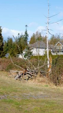 Surrey British Columbia, Kanada 'da bir dizi yeni ev. Evlerin ve sokağın ön bahçesinde ağaçlar ve çalılar var. Yüksek kalite fotoğraf