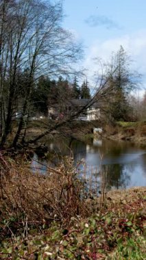 Surrey British Columbia, Kanada 'da bir dizi yeni ev. Evlerin ve sokağın ön bahçesinde ağaçlar ve çalılar var. Yüksek kalite fotoğraf