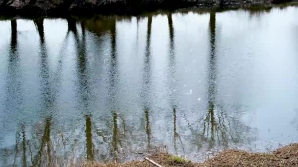 水の中に木のシルエットの芸術的な反射と活気のある水のシーン 水面に太陽光の振動 春の洪水の間の抽象的な奇跡の風景 高品質4K映像 — ストック動画
