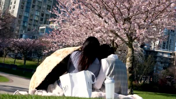 2人のアジアの女の子が桜の花によってピクニックに座っていますボトルバッグの靴で太陽の傘飲料水の横にある関心のある読書携帯電話カナダ2023 — ストック動画