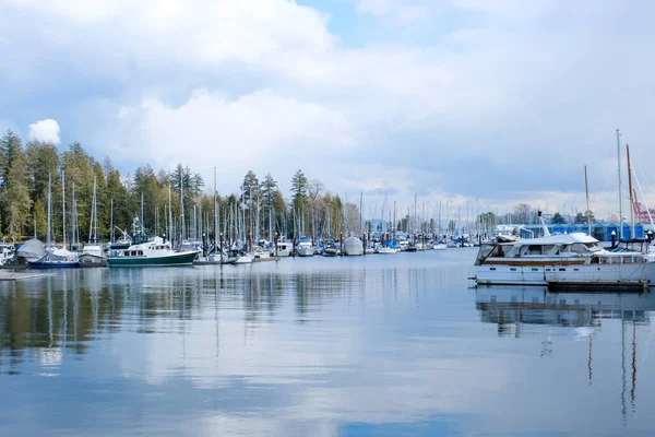 Beau Port Port Marina Havre Voiliers Yachts Eau Bleue Lac — Photo