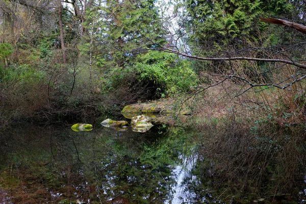 Stanley Park Árboles Primavera Sin Hojas Agua Manantial Vegetación Cielo — Foto de Stock