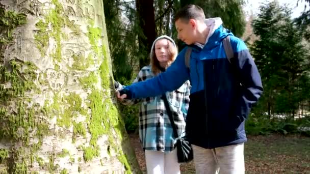 Подростки Стэнли Парка Прогуливаются Фотографируются Дурачатся Смотрят Деревья Болтающие Осенью — стоковое видео