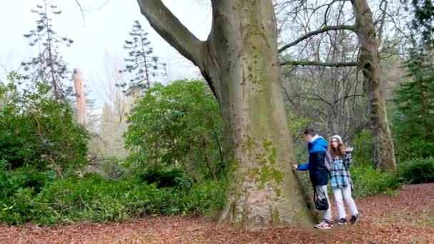 Stanley Park Teenagers Walking Taking Pictures Fooling Looking Trees Chatting — Stock Video