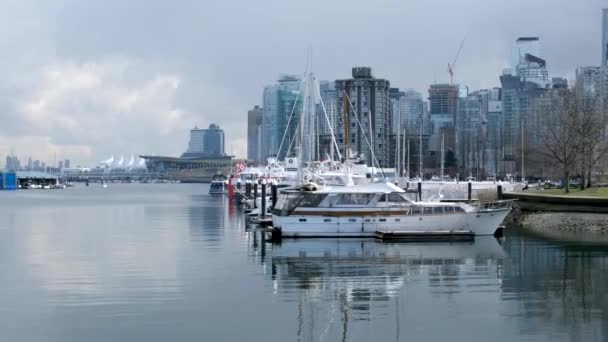 Stanley Park Vancouver Canadá 2023 Rascacielos Vida Costosa Yates Marina — Vídeo de stock