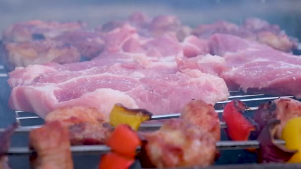 고기와 소시지에둘러 불타는 그릴에 로즈마리 곁들인 맛있는 스테이크 쇠고기 요리를 — 비디오