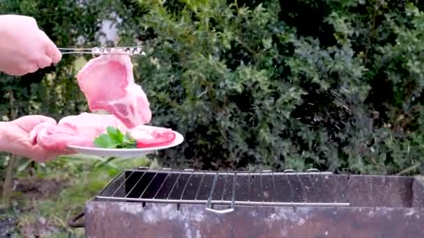 Daging Steak Yang Dimasak Digosok Dengan Rosemary Pada Panggangan Menyala — Stok Video