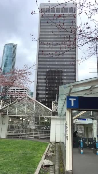 バンクーバーのバードステーションカナダの春のハト人々は朝の高層ビルを停止します大都市での生活 — ストック動画