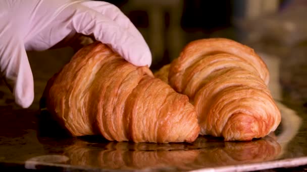 Närbild Kock Handskar Förbereda Croissant Kockar Handskar Vidrör Två Croissanter — Stockvideo