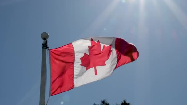 Фон Флага Канады Текстурой Ткани — стоковое видео
