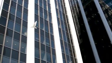 Burrard İstasyonu 'ndaki ofis binaları çalışanları tramvay trafik ışıklarına doğru koşuşturuyor. Erkekler ve kadınlar caddeyi geçerek toplu taşıma şehrine giderler. Kanada Vancouver 12.04.2023