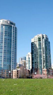 İlkbaharda Vancouver, BC, Kanada 'da gökdelen binasının arka planında çiçek açan kiraz çiçekleri. David Lam Parkı. Yüksek kalite 4k görüntü