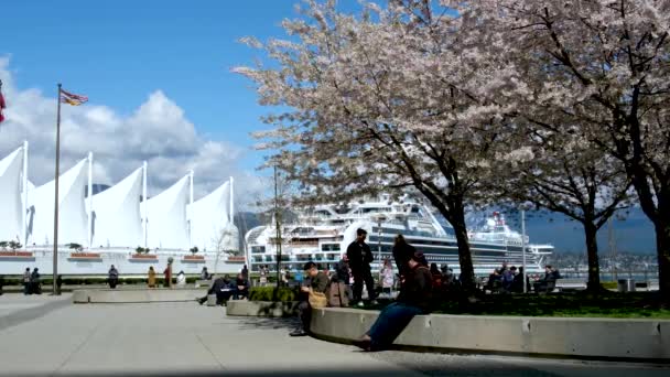 Canada Place White Sails Port Liner Backdrop Blue Mountains Pacific — стоковое видео