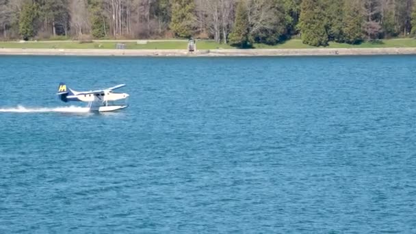 Plane Landed Water Passes Camera Spring Vancouver Canada 2023 Pacific — стокове відео