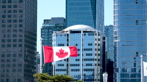 Kanadische Flagge Weht Auf Dem Aussichtspunkt Von Vancouver Und Dem — Stockvideo