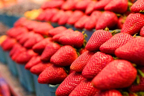 stock image Many containers containing lots of strawberries. The garden strawberry is a widely grown hybrid species of the genus Fragaria. High quality 4k footage