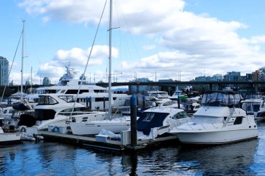 David Lam Park Yaletown Baharı Pasifik Okyanusu İskelesi Bisikletçileri berrak gökyüzü kiraz çiçekleri ve manolya ağaçları güneşli gün martıları dinleniyor hafta sonu dinlenme zamanı Vancouver Kanada 2023