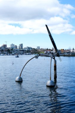 David Lam Park Yaletown Baharı Pasifik Okyanusu İskelesi Bisikletçileri berrak gökyüzü kiraz çiçekleri ve manolya ağaçları güneşli gün martıları dinleniyor hafta sonu dinlenme zamanı Vancouver Kanada 2023
