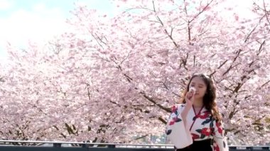 Kimono giyen genç Asyalı kadın. Kiraz çiçekleri. Geleneksel Japon kıyafetleri. Yüksek kalite 4k görüntü
