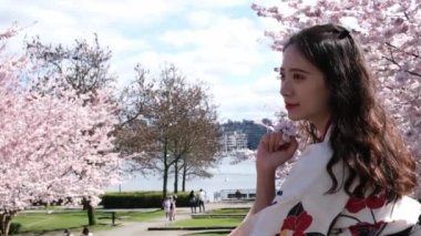 Kimono giyen genç Asyalı kadın. Kiraz çiçekleri. Japon geleneksel kıyafetleri.