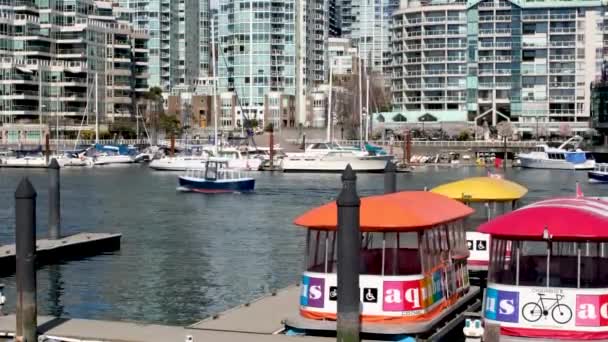 Granville Island Halvö Och Shoppingdistrikt Fairview Distriktet Vancouver Över False — Stockvideo