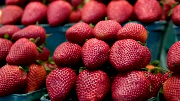 Erdbeere Himbeeren Und Brombeeren Containern Auf Dem Markt — Stockvideo