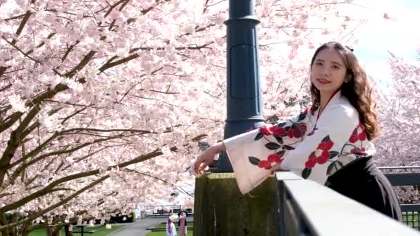 Frumoasă Fată Asiatică Cămașă Brodată Stă Fundalul Florilor Cireșe Valuri — Videoclip de stoc