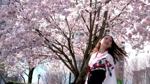 Resenär Flicka Vackra Unga Orientaliska Flicka Viftar Med Huvudet Utveckla — Stockvideo