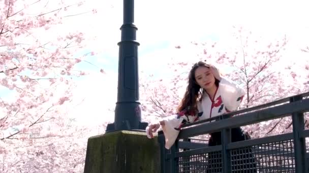 カナダバンクーバーすべての人々は 美しい刺繍東洋のブラウスの女の子が橋の上にもたれている桜の花を背景に公園で撮影されています — ストック動画