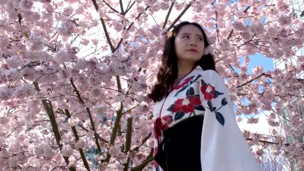 Kimono Giyen Genç Asyalı Kadın Kiraz Çiçekleri Geleneksel Japon Kıyafetleri — Stok video