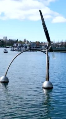 David Lam Park Yaletown Baharı Pasifik Okyanusu İskelesi Bisikletçileri berrak gökyüzü kiraz çiçekleri ve manolya ağaçları güneşli gün martıları dinleniyor hafta sonu dinlenme zamanı Vancouver Kanada 2023