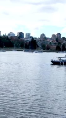 David Lam Park Yaletown Baharı Pasifik Okyanusu İskelesi Bisikletçileri berrak gökyüzü kiraz çiçekleri ve manolya ağaçları güneşli gün martıları dinleniyor hafta sonu dinlenme zamanı Vancouver Kanada 2023