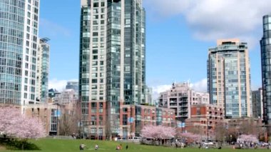 David Lam Park Yaletown Baharı Pasifik Okyanusu İskelesi Bisikletçileri berrak gökyüzü kiraz çiçekleri ve manolya ağaçları güneşli gün martıları dinleniyor hafta sonu dinlenme zamanı Vancouver Kanada 2023