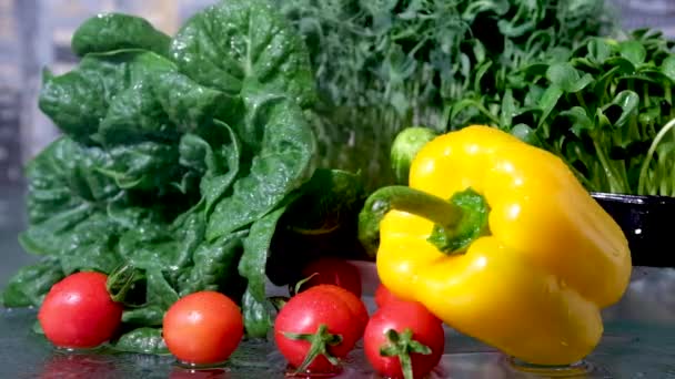 Poivrons Colorés Frais Feuilles Salade Gros Plan Sur Les Légumes — Video
