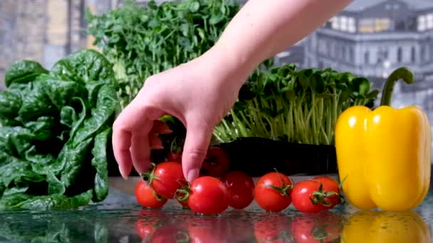 Des Brins Tomates Mûres Avec Des Gouttes Eau Sur Fond — Video