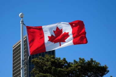 Kanada bayrağı Vancouver Kanada şehir merkezi merkez istasyon bayrağı bulutsuz ve kulesiz mavi gökyüzü karşısında Vancouver Liman Merkezi