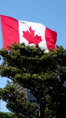 Kanada bayrağı Vancouver Kanada şehir merkezi merkez istasyon bayrağı bulutsuz ve kulesiz mavi gökyüzü karşısında Vancouver Liman Merkezi