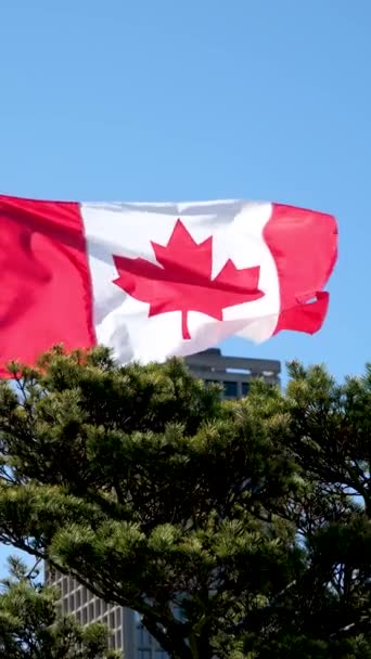 Bandeira Canadá Antigo Efeito Fundo Retro Perto Acenando Com Bandeira — Vídeo de Stock