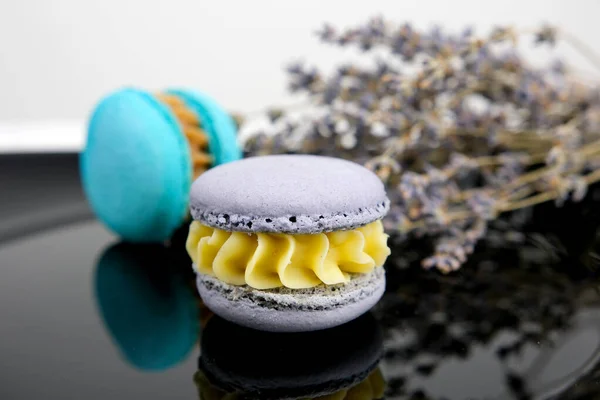 Style Créatif Macarons Biscuits Français Colorés Bannière Style Pop Art — Photo