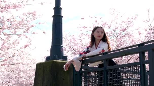 Девушка Вышитой Рубашке Японском Китайском Стиле Стоит Фоне Цветения Вишни — стоковое видео