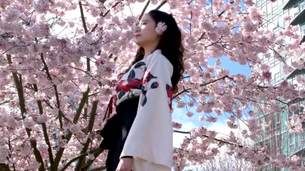 David Lam Park Yaletown Tavasz Gyönyörű Ázsiai Fiatal Lány Háttérben — Stock videók