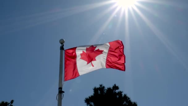 加拿大国旗在晴朗的蓝天前 — 图库视频影像