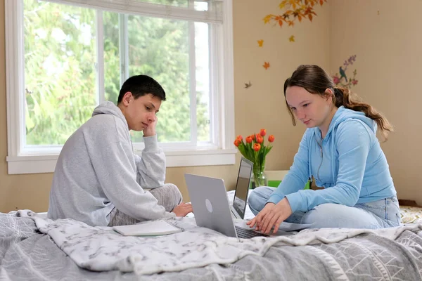 Ergenlik çağındaki erkek ve kız kardeşler okulda çevrimiçi olarak aynı odada oturuyorlar dizüstü bilgisayarın yanında güzel, aydınlık bir odada gerçek insanlar internet araştırmaları yapıyorlar online ödev konferansı yapıyorlar.