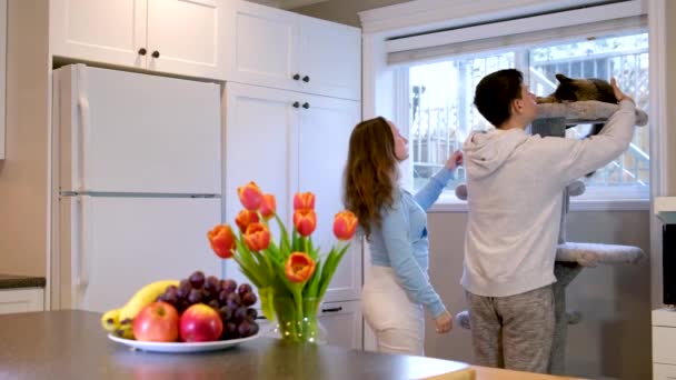 Teenagers Playing Cat Kitchen Fruit Flowers White Cabinets Window Special — Stock Video