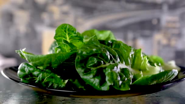 Listy Zeleného Římského Salátu Zeleninové Pozadí — Stock video