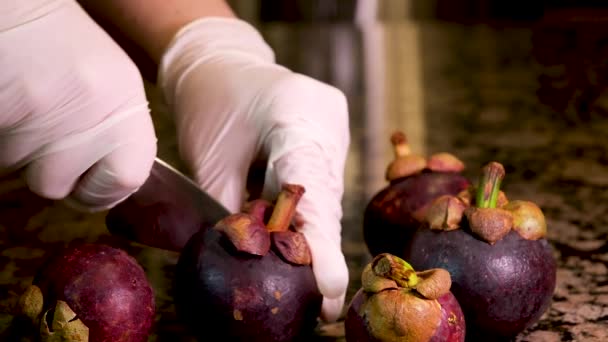 Mãos Enluvadas Cortar Frutas Frescas Limpas Mangostão Casca Roxa Faca — Vídeo de Stock