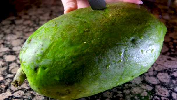 Halbreife Papayafrüchte Mit Kernen Duftendes Tropisches Fruchtfleisch Süßes Frisches Papaw — Stockvideo